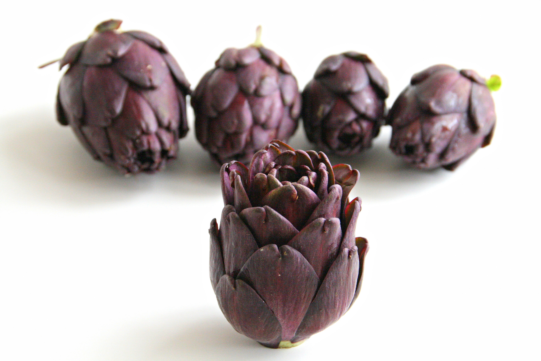 Purple artichokes a product of our catalog