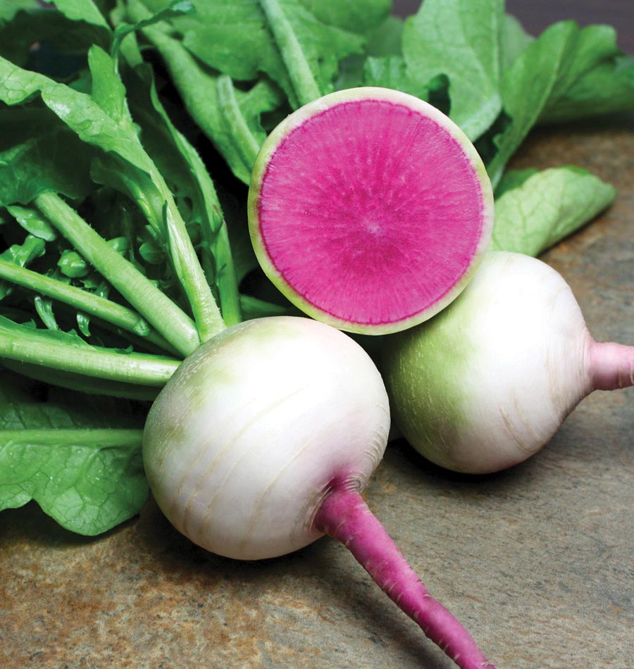 Watermelon radish a product of our catalog